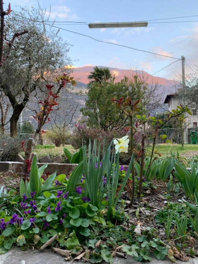 Bed & Breakfast Garnì Delle Rose *