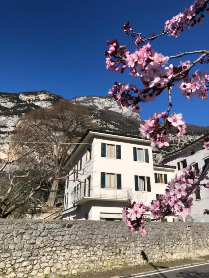 Bed & Breakfast Garnì Delle Rose