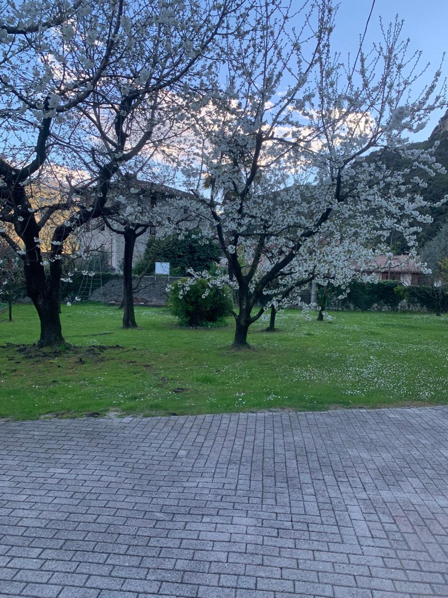 Frühstückspension Hotel Garni Delle Rose *