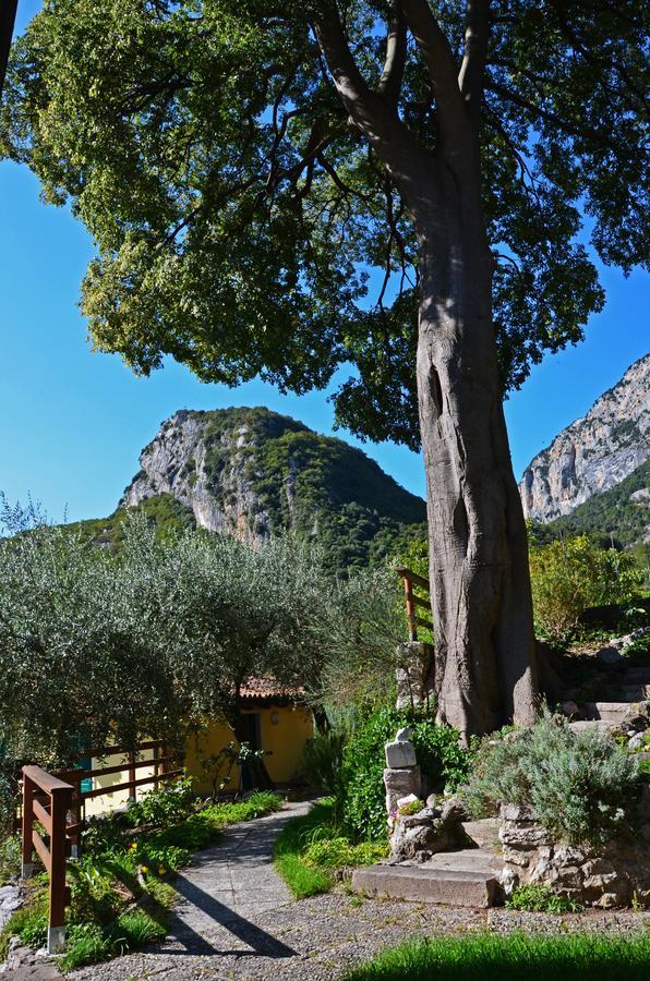 Hotel Garni Delle Rose